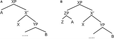 C-Command in the Grammars of Children with High Functioning Autism